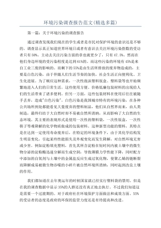 环境污染调查报告范文