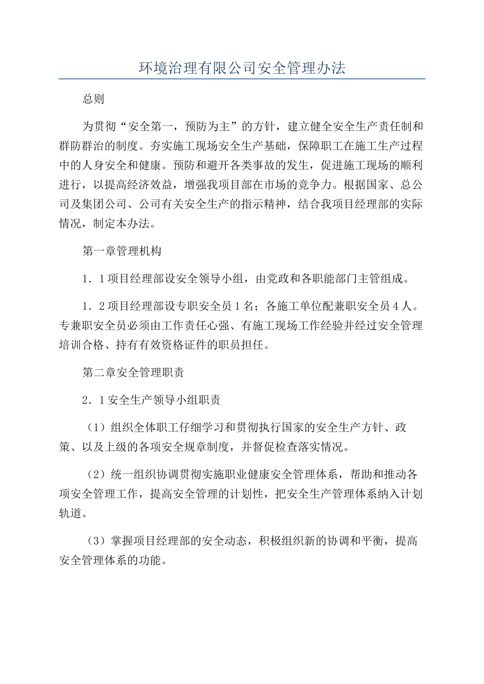 环境治理有限公司安全管理办法_第1页