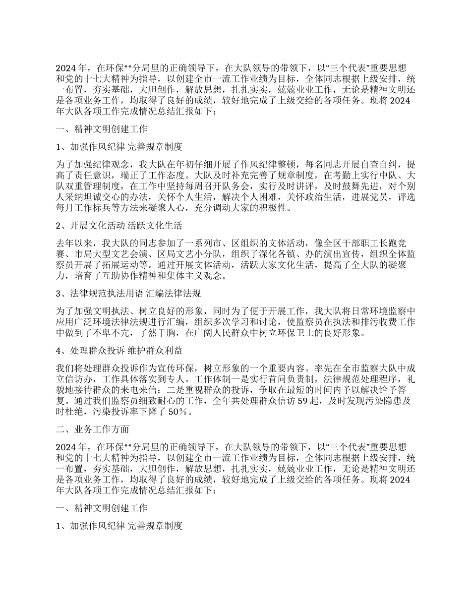 环境监察大队工作总结_第1页