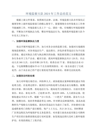 环境监察大队2024年工作总结范文