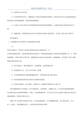 现场应急处置方案（全套）