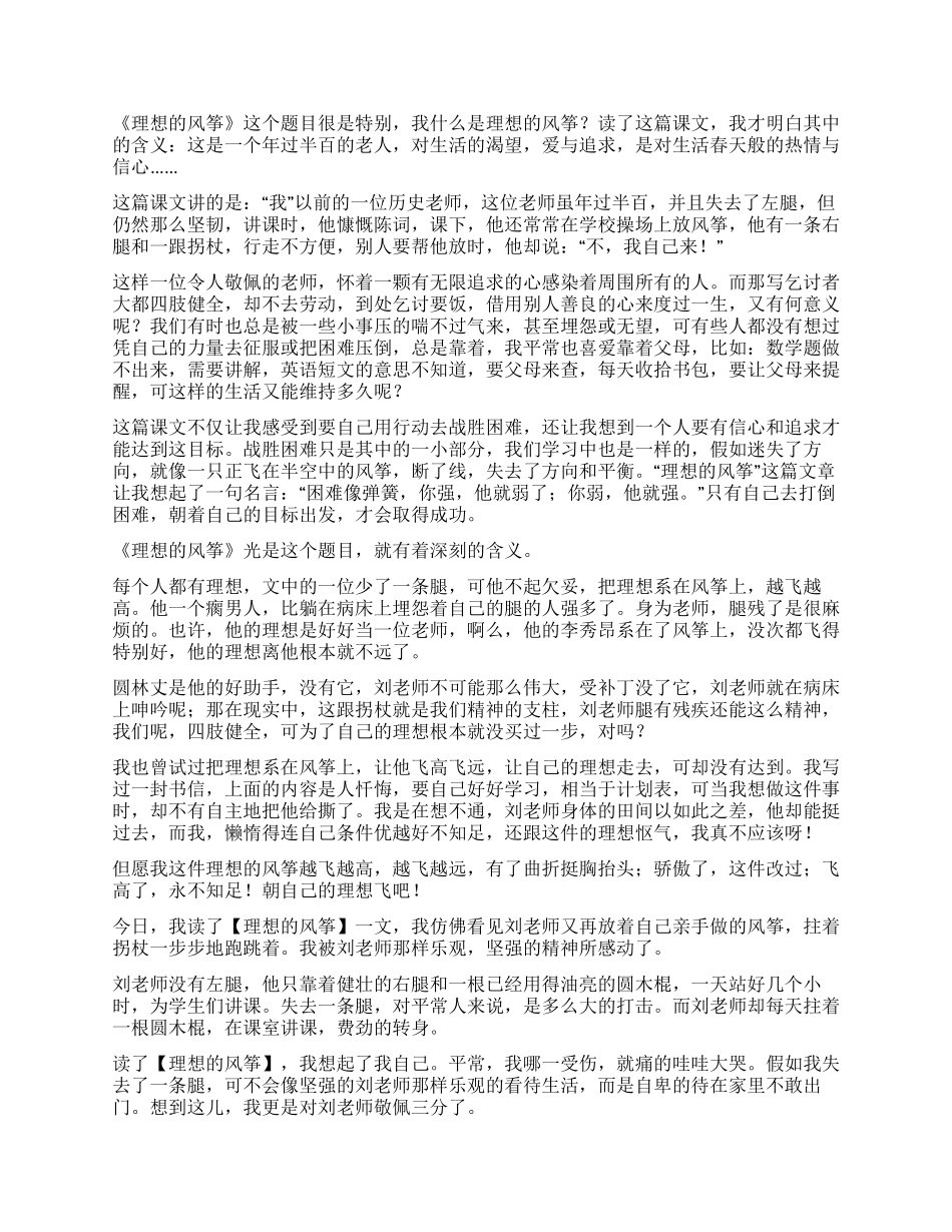 理想的风筝读后感_第2页
