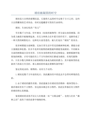 琥珀被凝固的时空