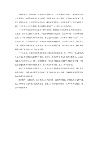 甘思琪-三下乡总结