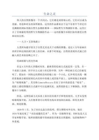 生命之灵-精品文档