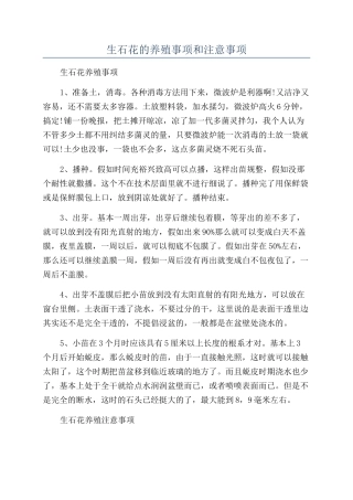 生石花的养殖事项和注意事项