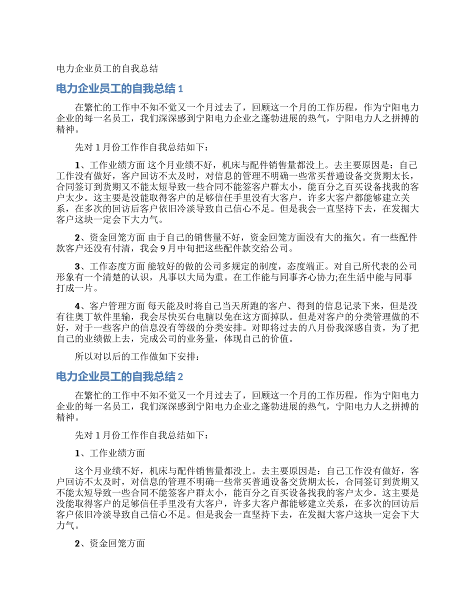 电力企业员工的自我总结_第1页