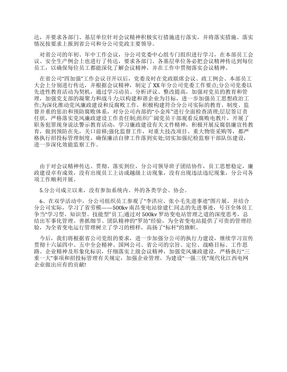 电力公司执行力情况自查报告_第2页