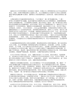 电力公司执行力情况自查报告