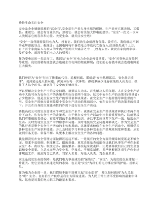 电力职工安全演讲