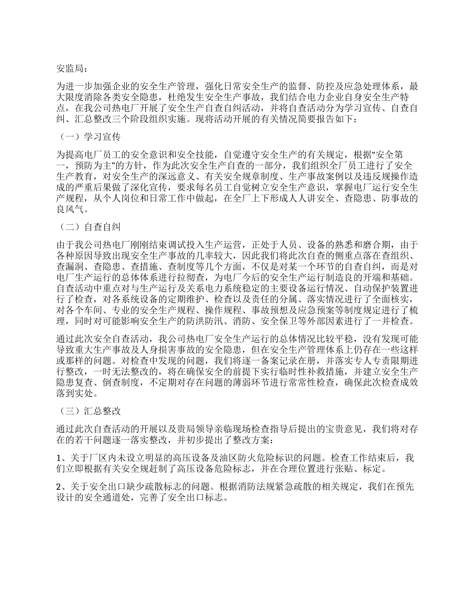 电厂安全自查报告_第1页