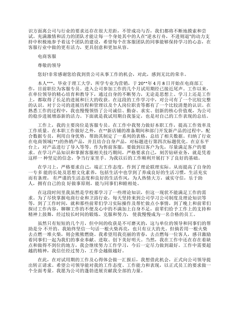 电商客服工作总结例文｜电商客服工作总结（8页）_第2页