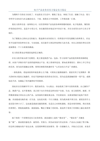 电子产品业务员实习鉴定实习鉴定