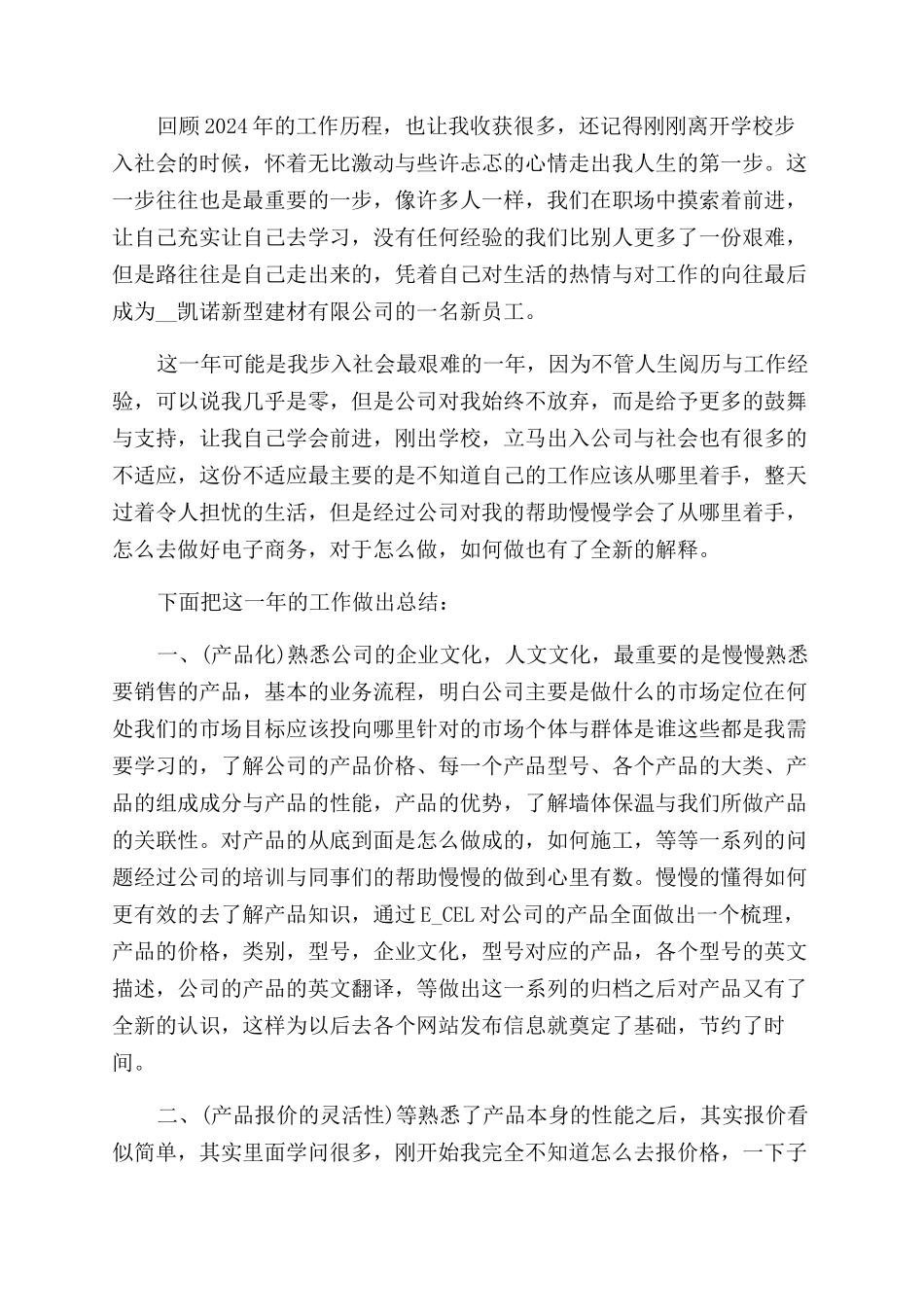 电子商务个人工作总结范文2024_第3页