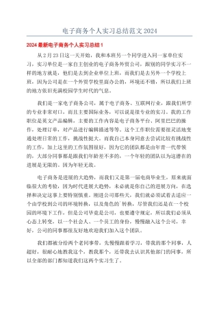 电子商务个人实习总结范文2024
