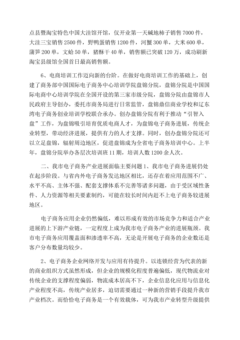 电子商务产业发展调研报告范文_第3页