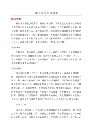 电子商务实习周志