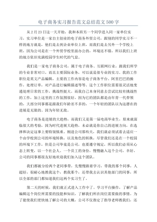 电子商务实习报告范文总结范文500字