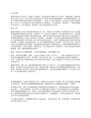 电子商务认识实习总结范文