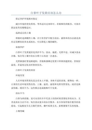 白掌叶子发黄应该怎么办