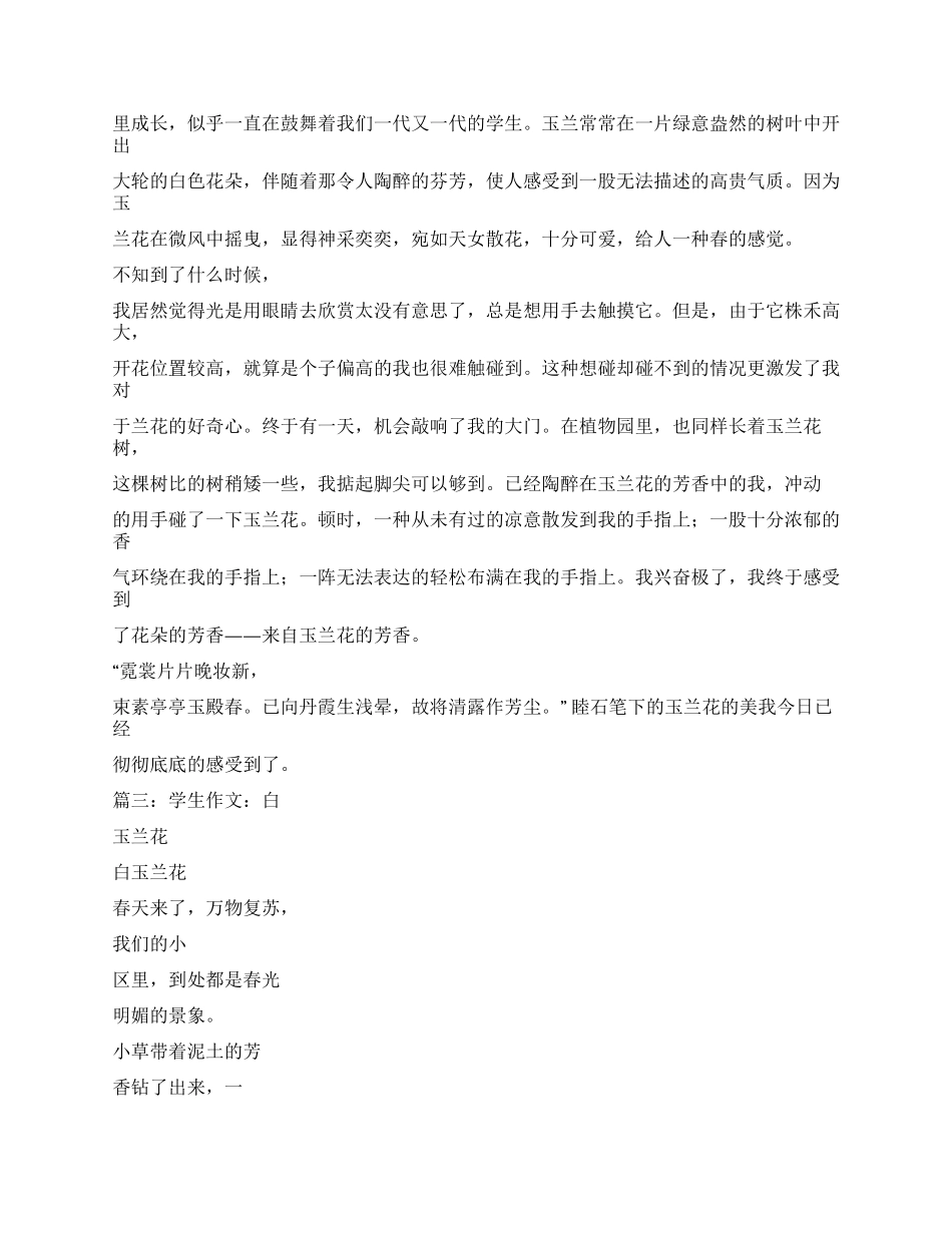白玉兰关于白玉兰的作文_第3页