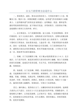 白玉兰的管理方法是什么