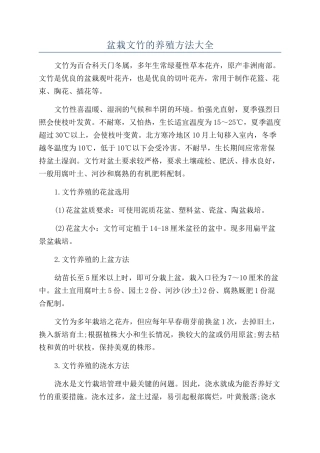 盆栽文竹的养殖方法大全