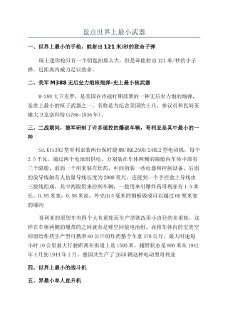 盘点世界上最小武器