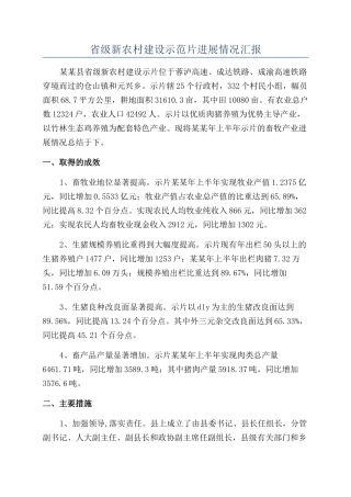 省级新农村建设示范片发展情况汇报