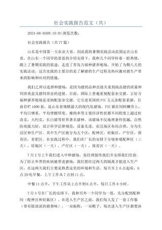 社会实践报告范文（共）