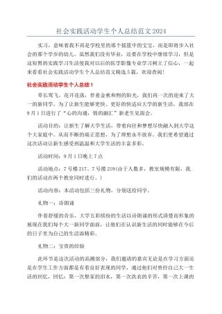 社会实践活动学生个人总结范文2024