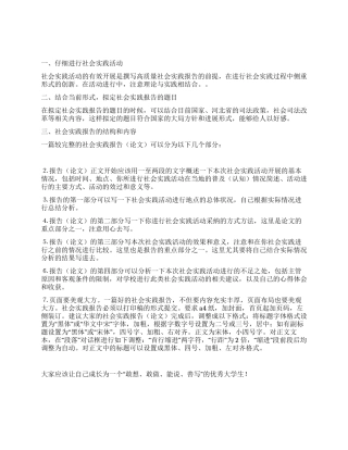 社会实践报告规范