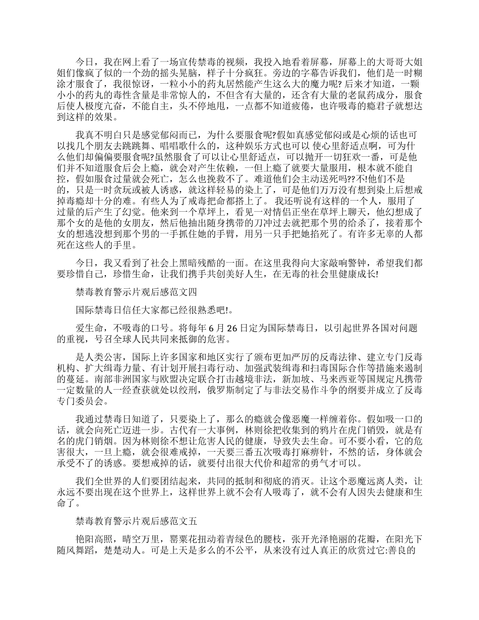 禁毒教育警示片观后感600字范文5篇_第2页