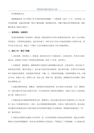 禁毒督查整改情况汇报