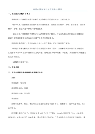 福清中团网项目运营商业计划书