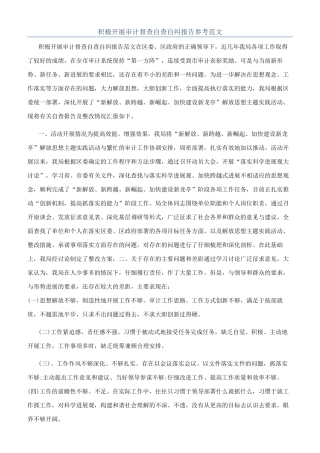 积极开展审计督查自查自纠报告参考范文
