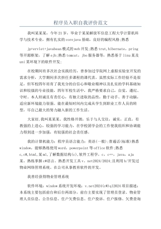 程序员入职自我评价范文