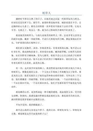 稻草人-精品文档