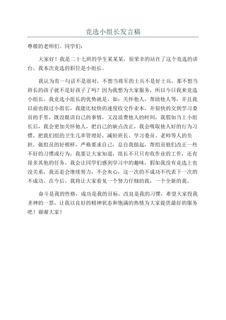 竞选小组长发言稿
