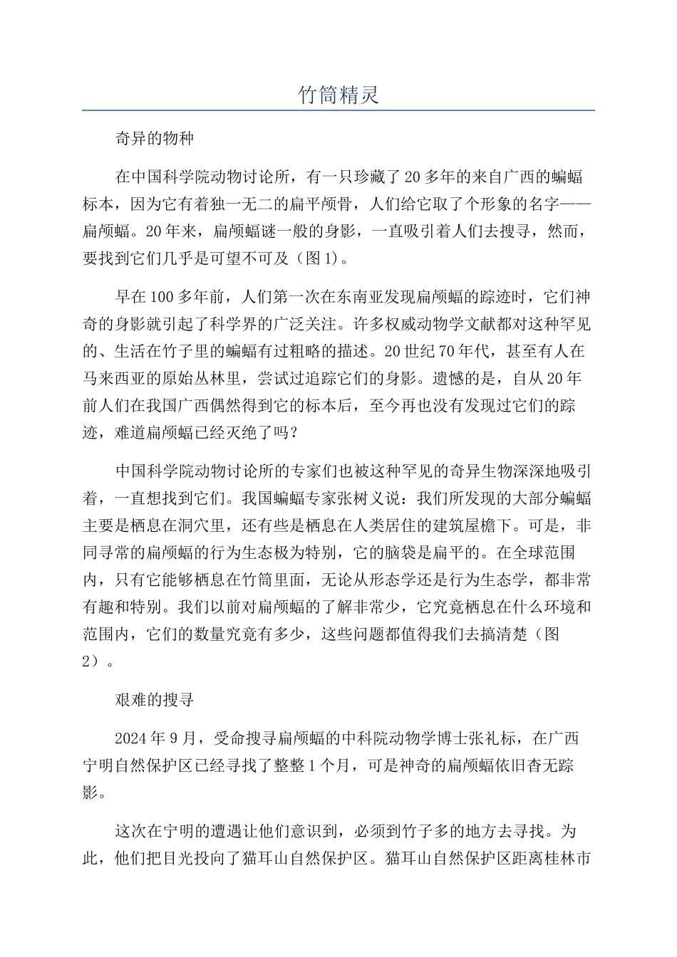 竹筒精灵-精品文档_第1页