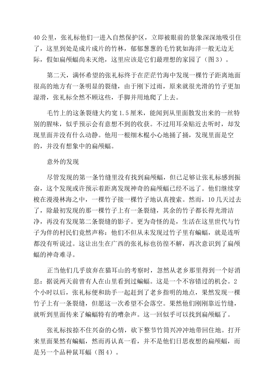 竹筒精灵-精品文档_第2页