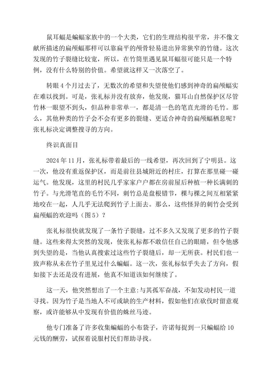 竹筒精灵-精品文档_第3页