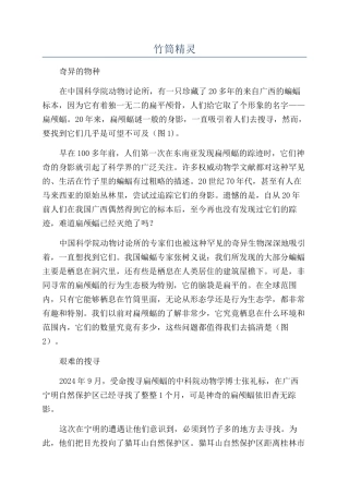 竹筒精灵-精品文档