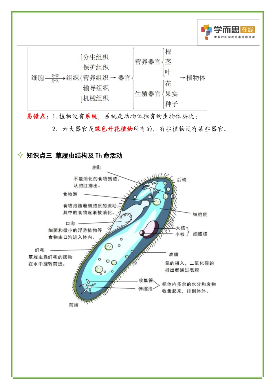 第4讲-生命体的结构层次_第2页