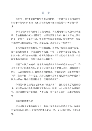 第一龙-精品文档