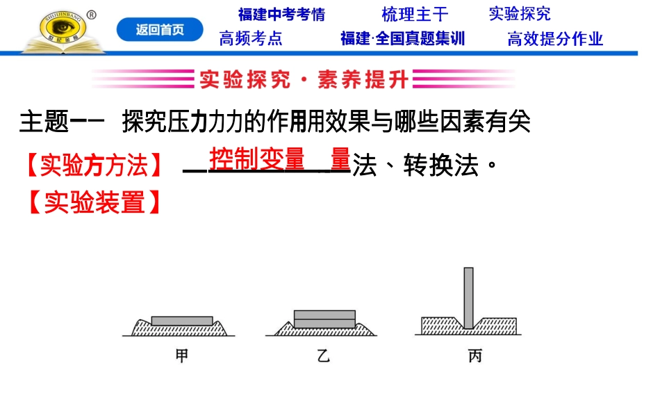 第八章-压强主要实验复习(1)_第2页