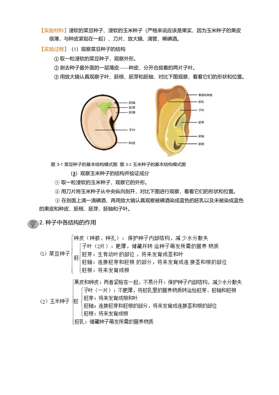 第六讲-种子的结构和萌发_第3页