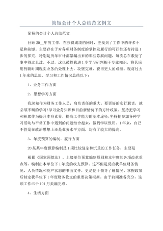 简短会计个人总结范文例文