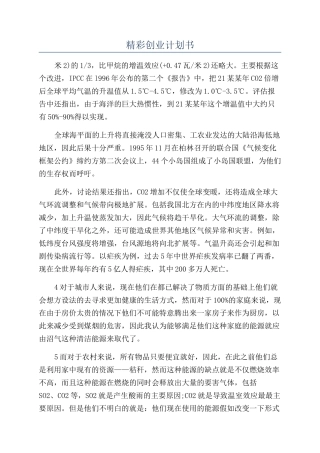 精彩创业计划书