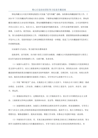 精心打造创业团队努力促进在藏发展